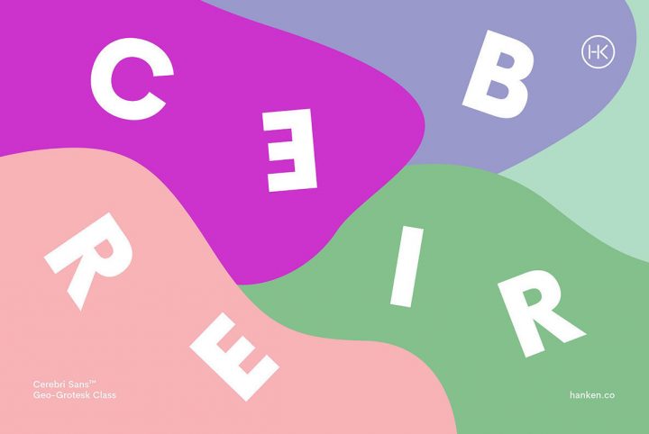 Cerebri Sans: An Intellectual Approach To Improve The Reader’s Experience