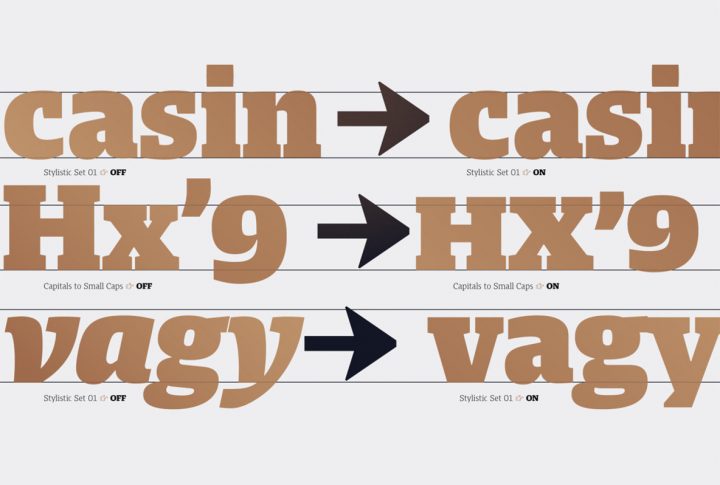 Harrison Serif Pro: A Gentlemanly Serif From TypeMates