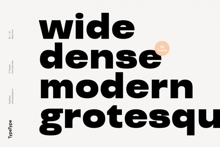 A Versatile Geometric Sans Serif From TypeType Foundry: TT Travels