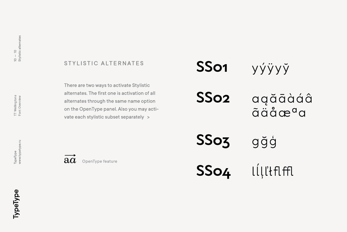 A Warm Sans Serif From TypeType Foundry: TT Wellingtons - 2