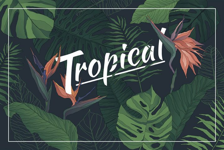 Incorporate Lush Botanical Elements With Tropical Set From Aleksandra Popova