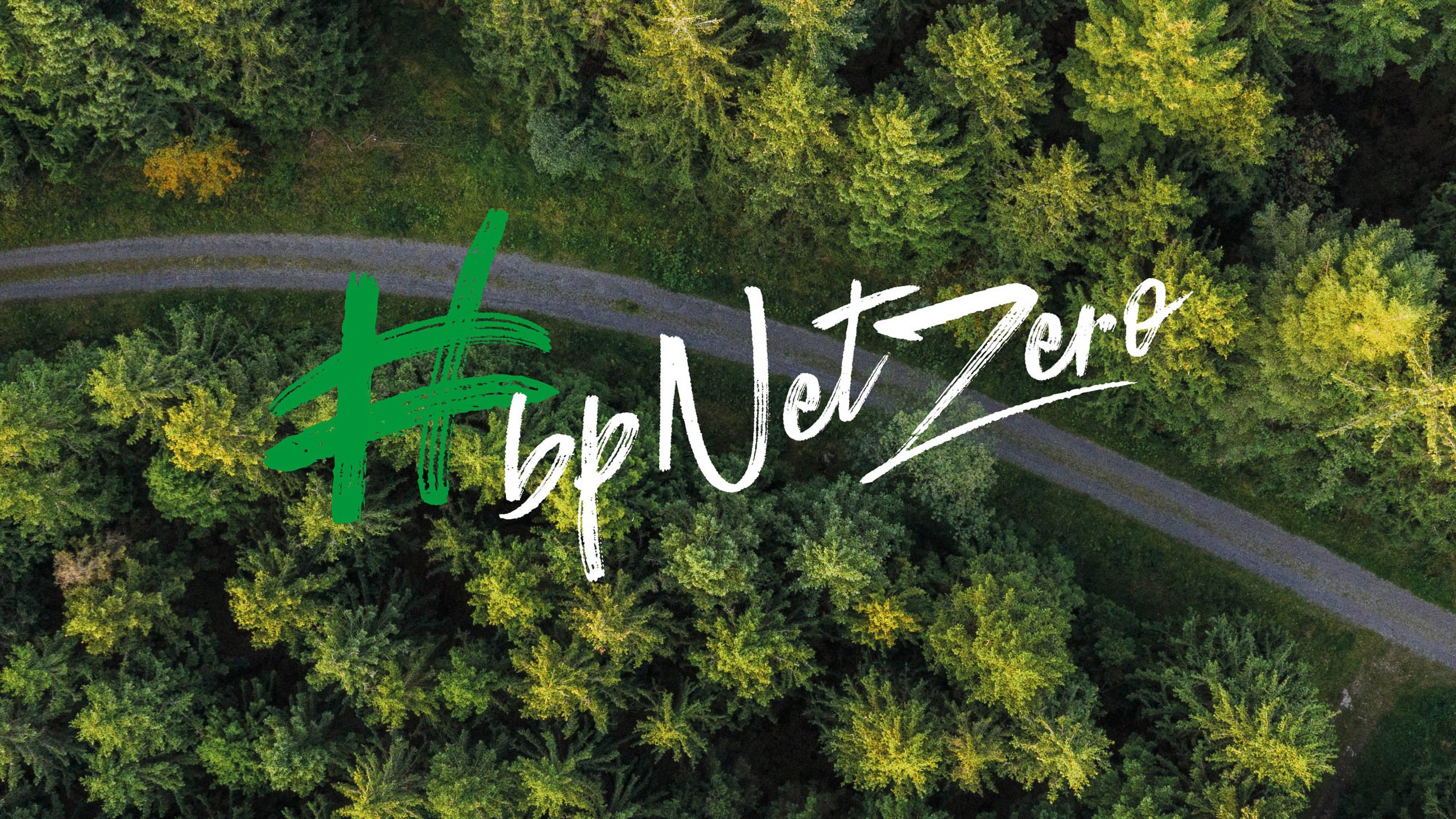 BP licenses Sam Parretts Better Times for Net Zero Campaign